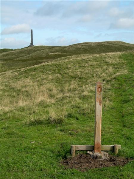 Angus Hogg